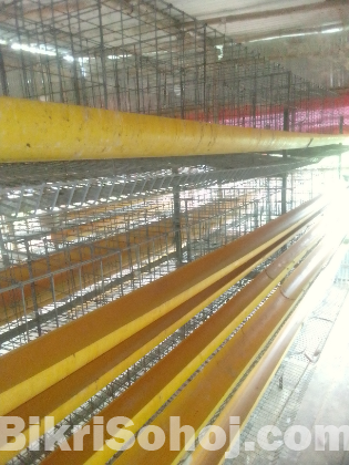 লেয়ার মুরগির ডিম পাড়া খাঁচা।